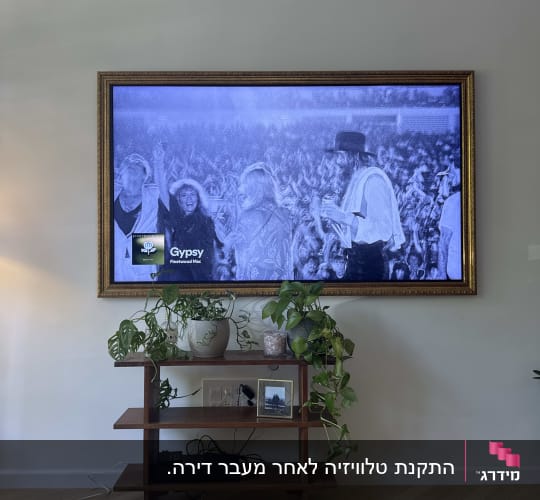 טלוויזיה תלויה על הקיר עם מדף וצמחים